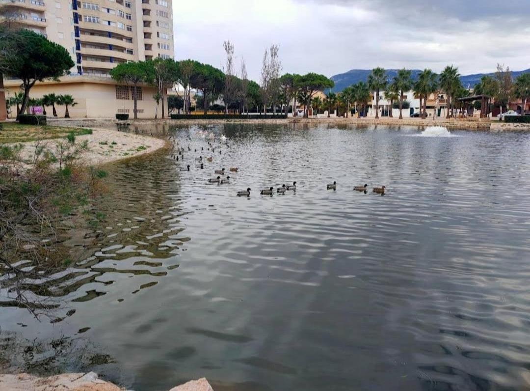 Apartament Arena Y Mar Tavernes de Valldigna Zewnętrze zdjęcie